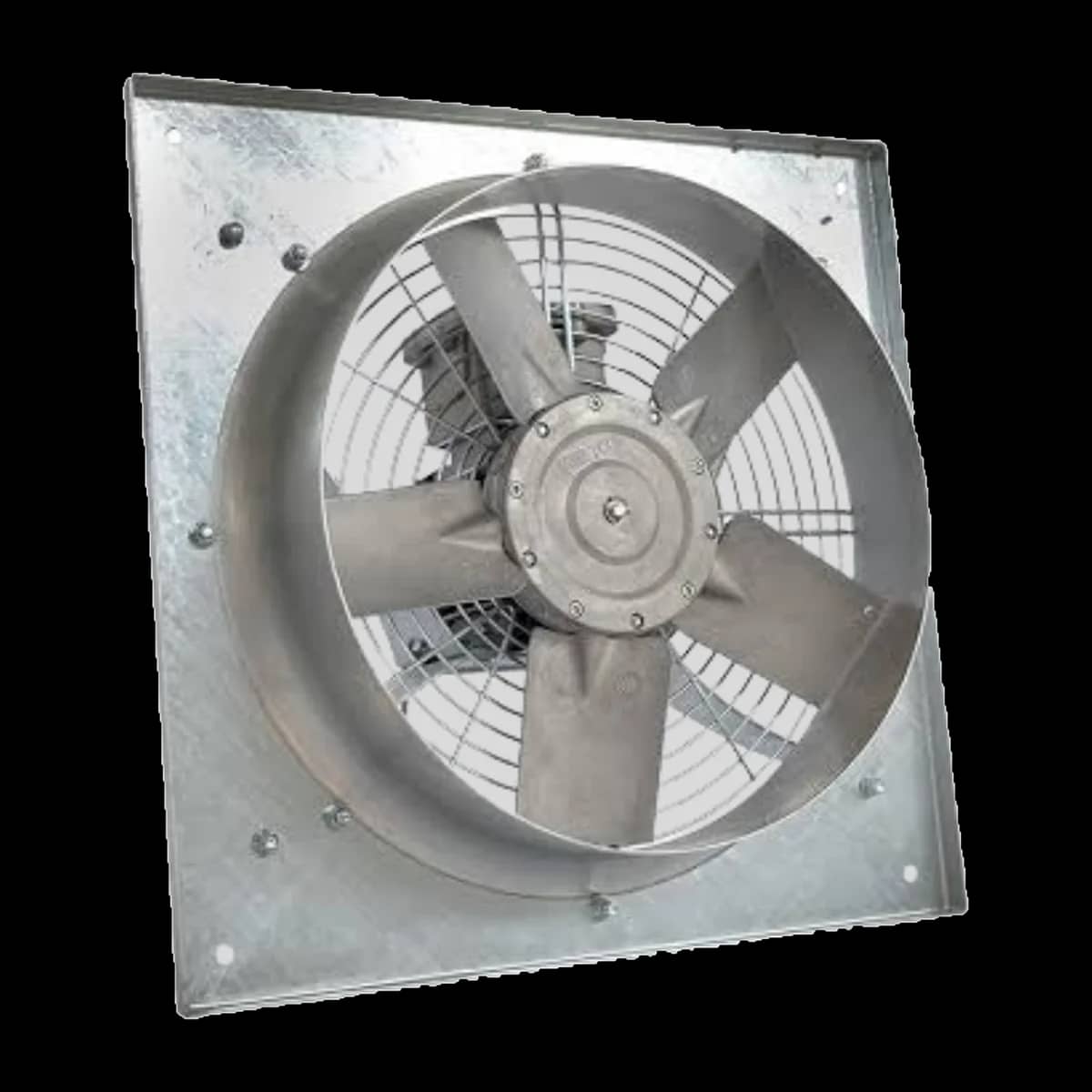 Exproof Fanlar — 6. görünüm